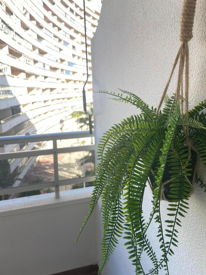 Vive El Mediterraneo - Apartamento Con Piscina En Cullera Luaran gambar